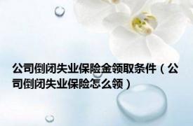 公司倒闭失业保险金领取条件（公司倒闭失业保险怎么领）