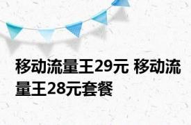 移动流量王29元 移动流量王28元套餐 