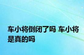 车小将倒闭了吗 车小将是真的吗 