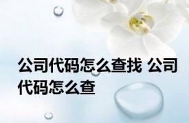 公司代码怎么查找 公司代码怎么查