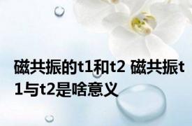 磁共振的t1和t2 磁共振t1与t2是啥意义 