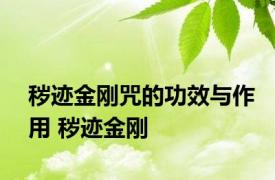 秽迹金刚咒的功效与作用 秽迹金刚 