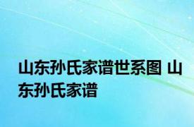 山东孙氏家谱世系图 山东孙氏家谱 