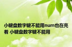 小键盘数字键不能用num也在亮着 小键盘数字键不能用 