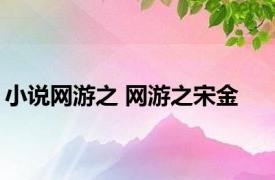 小说网游之 网游之宋金 