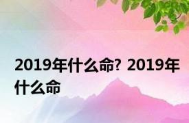 2019年什么命? 2019年什么命 