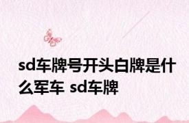 sd车牌号开头白牌是什么军车 sd车牌 