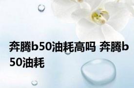 奔腾b50油耗高吗 奔腾b50油耗 