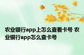 农业银行app上怎么查看卡号 农业银行app怎么查卡号 