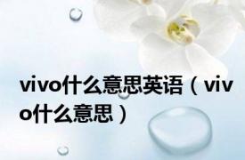 vivo什么意思英语（vivo什么意思）