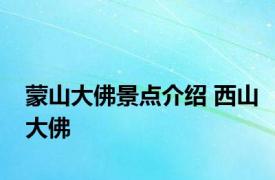 蒙山大佛景点介绍 西山大佛 