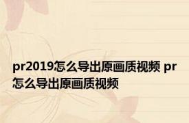 pr2019怎么导出原画质视频 pr怎么导出原画质视频 