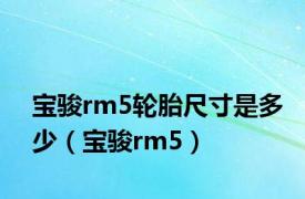 宝骏rm5轮胎尺寸是多少（宝骏rm5）