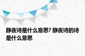 静夜诗是什么意思? 静夜诗的诗是什么意思