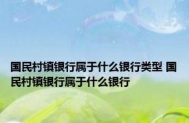 国民村镇银行属于什么银行类型 国民村镇银行属于什么银行