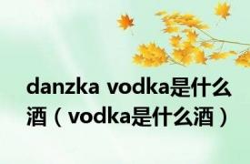 danzka vodka是什么酒（vodka是什么酒）