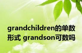 grandchildren的单数形式 grandson可数吗 