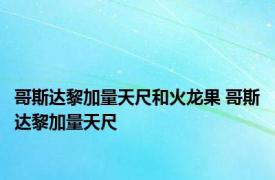 哥斯达黎加量天尺和火龙果 哥斯达黎加量天尺 