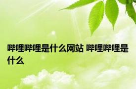 哔哩哔哩是什么网站 哔哩哔哩是什么 