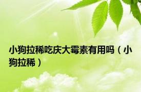 小狗拉稀吃庆大霉素有用吗（小狗拉稀）