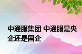 中通服集团 中通服是央企还是国企 