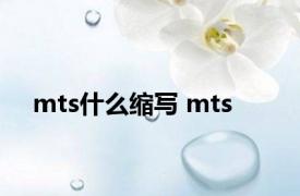 mts什么缩写 mts 