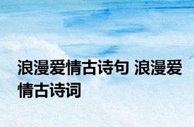 浪漫爱情古诗句 浪漫爱情古诗词 