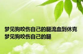 梦见狗咬伤自己的腿流血到休克 梦见狗咬伤自己的腿 