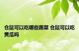 仓鼠可以吃哪些蔬菜 仓鼠可以吃黄瓜吗 