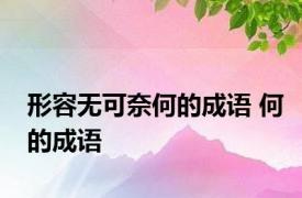 形容无可奈何的成语 何的成语 