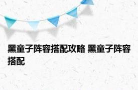 黑童子阵容搭配攻略 黑童子阵容搭配 