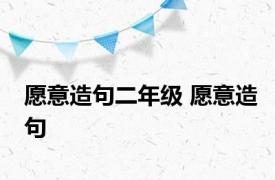 愿意造句二年级 愿意造句 