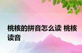 桃核的拼音怎么读 桃核读音 