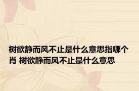 树欲静而风不止是什么意思指哪个肖 树欲静而风不止是什么意思