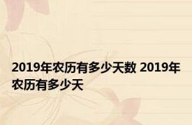 2019年农历有多少天数 2019年农历有多少天 