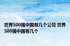 世界500强中国有几个公司 世界500强中国有几个 