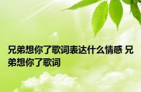 兄弟想你了歌词表达什么情感 兄弟想你了歌词 