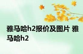 雅马哈h2报价及图片 雅马哈h2 