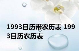 1993日历带农历表 1993日历农历表 