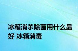 冰箱消杀除菌用什么最好 冰箱消毒 