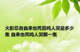 火影忍者自来也死后鸣人哭是多少集 自来也死鸣人哭那一集 