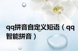 qq拼音自定义短语（qq智能拼音）