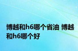 博越和h6哪个省油 博越和h6哪个好 