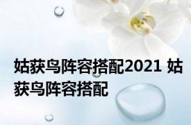 姑获鸟阵容搭配2021 姑获鸟阵容搭配 