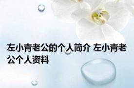 左小青老公的个人简介 左小青老公个人资料 