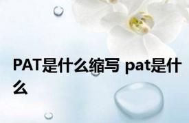 PAT是什么缩写 pat是什么 