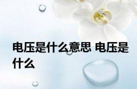 电压是什么意思 电压是什么 