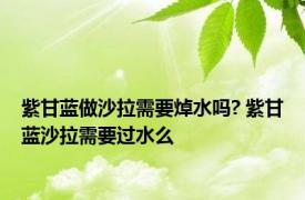 紫甘蓝做沙拉需要焯水吗? 紫甘蓝沙拉需要过水么 