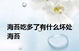 海苔吃多了有什么坏处 海苔 