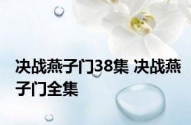 决战燕子门38集 决战燕子门全集 